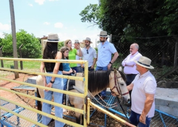 Área do Instituto de Zootecnia em Nova Odessa será utilizada para equoterapia