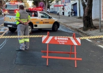 Extração de árvore bloqueia trecho de rua no Jardim das Paineiras nesta segunda