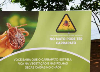 Campinas tem mais dois casos confirmados de febre maculosa