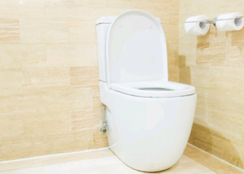 Artigo – Dia Mundial do Vaso Sanitário: transformando vidas, começando pelo básico! – por Ana Rizzo