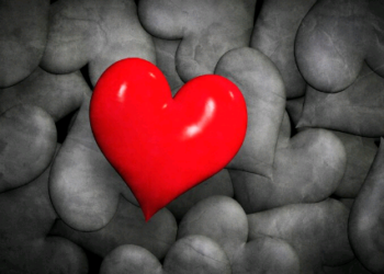 O melhor caminho para as nossas escolhas – por Márcia Romão