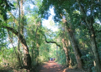 Feirata neste sábado reunirá gastronomia, arte, música e passeio ciclístico