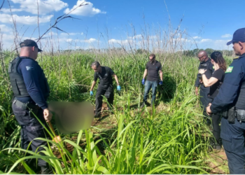 Ossada humana é encontrada em mata de Paulínia; cães ‘auxiliaram’ na descoberta