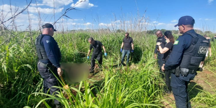 Ossada humana é encontrada em mata de Paulínia; cães ‘auxiliaram’ na descoberta