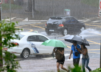 Chuvas intensas: Prefeitura de Campinas fecha todos os parques