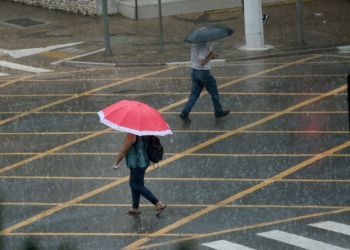Defesa Civil registra várias ocorrências provocadas pela chuva