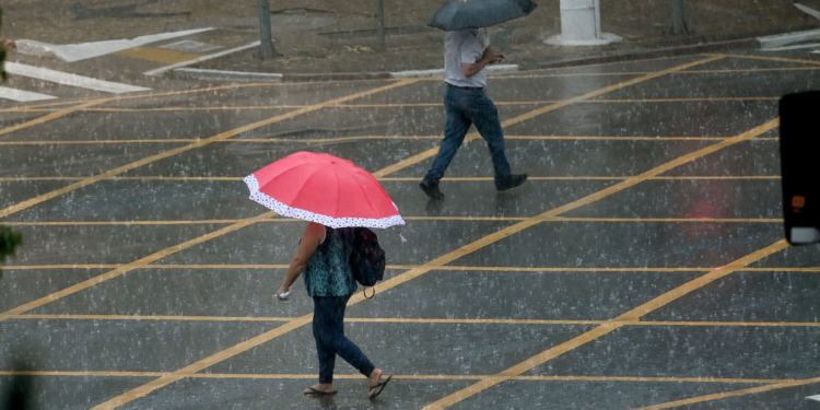 Defesa Civil registra várias ocorrências provocadas pela chuva