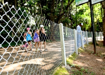 Prefeitura começa a cercar com alambrado o corpo d’água da Lagoa do Taquaral