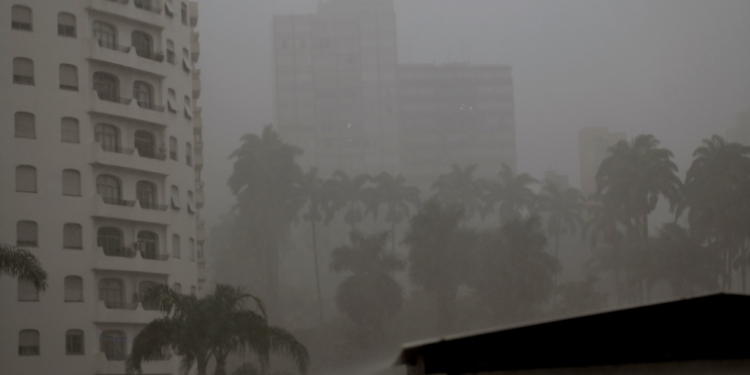 Chuva derruba árvores e afeta quatro centros de saúde de Campinas