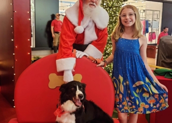 Shopping reúne tutores e cães para momento natalino