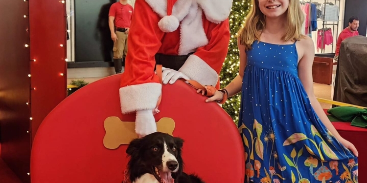 Shopping reúne tutores e cães para momento natalino