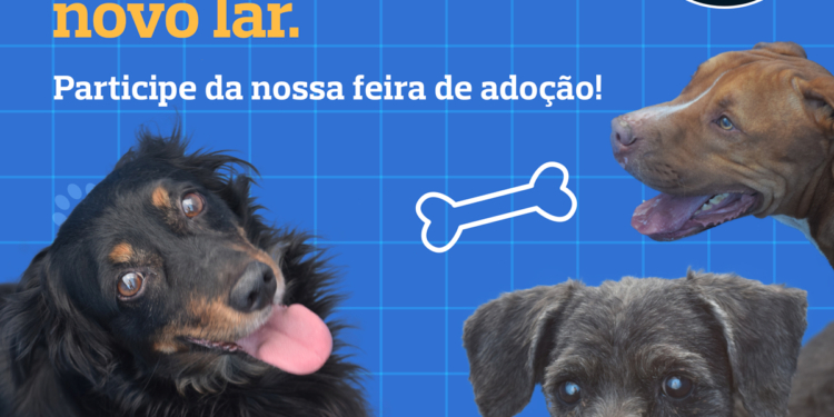 Rota das Bandeiras realiza feira para adoção de cães resgatados no Corredor Dom Pedro