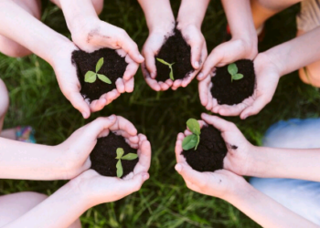 Escolas, solo sagrado do saber e da cidadania – por José Pedro Martins