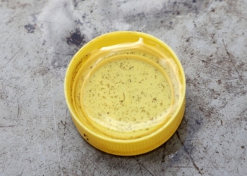 Dengue: Saúde faz alerta para evitar criadouros do mosquito durante viagem nas férias