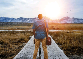 Qual o sentido da nossa vida aqui? por Márcia Romão