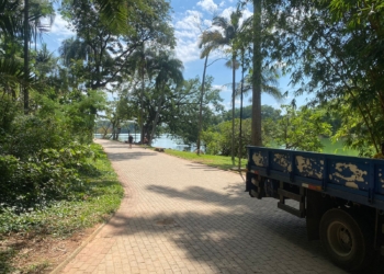 Manejo de capivaras suspende instalação de alambrado na Lagoa do Taquaral