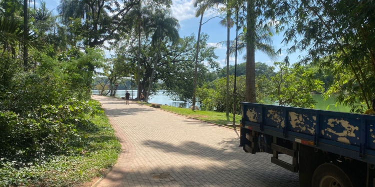 Manejo de capivaras suspende instalação de alambrado na Lagoa do Taquaral