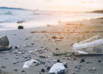 O fracasso da governança socioambiental – por José Pedro Martins