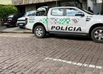 Polícia Ambiental apreende 13 animais exóticos em pet shop no Cambuí