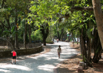 Campinas reabre todos os parques e bosques nesta sexta