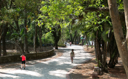 Campinas reabre todos os parques e bosques nesta sexta