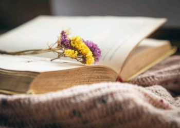 Do negócio do ódio à poesia que salva – por José Pedro Martins