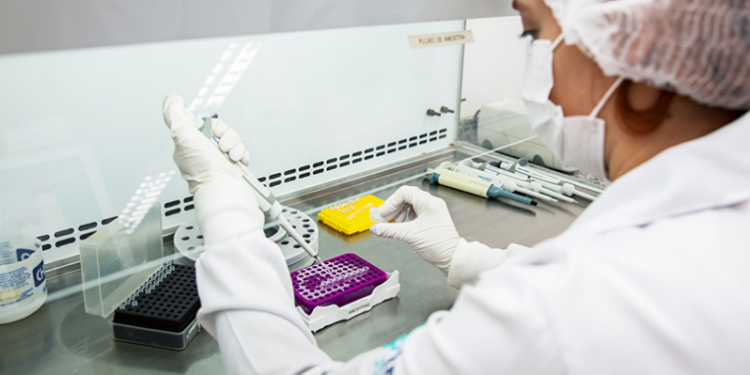 Pesquisadores desenvolvem pele artificial 3D mais parecida com a humana