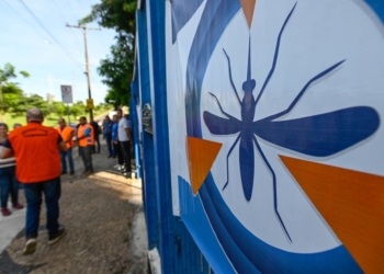 Campinas registra 241 casos de dengue em 2025 e tem outros 1,6 mil em investigação