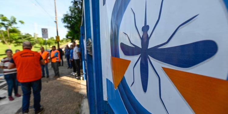 Campinas registra 241 casos de dengue em 2025 e tem outros 1,6 mil em investigação