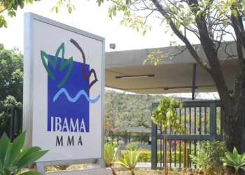 Inscrições para 460 vagas de concurso do Ibama estão abertas