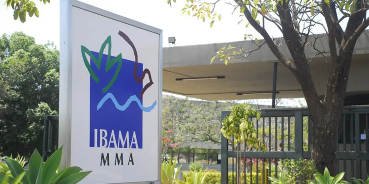 Inscrições para 460 vagas de concurso do Ibama estão abertas