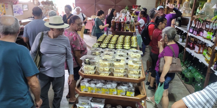 Passeios do Agroturismo e City Tour são opções da Festa do Figo em Valinhos