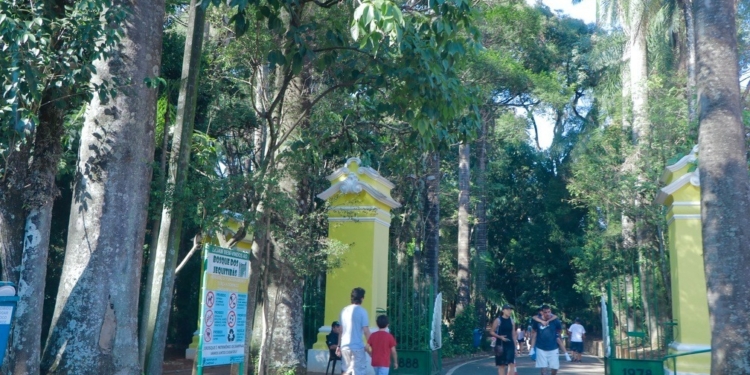 Limpeza pós-chuva: Bosque dos Jequitibás abrirá a partir das 12h nesta sexta-feira