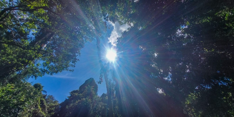 Trégua das chuvas faz campineiro aproveitar domingo de sol no Bosque; veja fotos