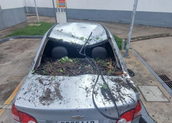 Galho de árvore do Bosque cai e atinge veículo que passava pela rua