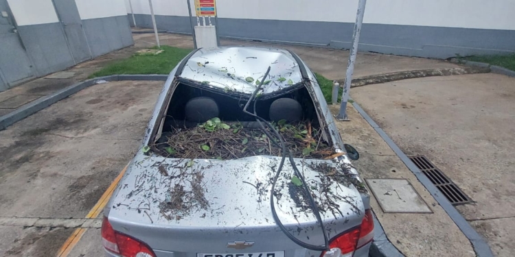Galho de árvore do Bosque cai e atinge veículo que passava pela rua