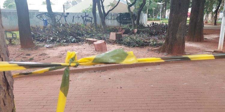 Prefeitura começa a remover árvores no Centro de Convivência