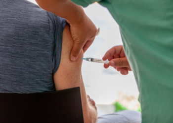 Casos de febre amarela em macacos são confirmados em Ribeirão Preto