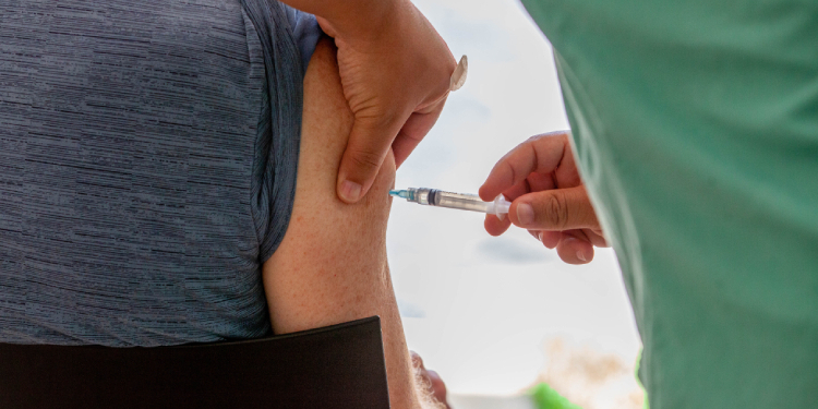 Casos de febre amarela em macacos são confirmados em Ribeirão Preto