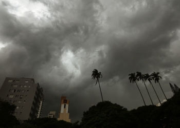 Após chuvas, Campinas mantém parques abertos neste domingo