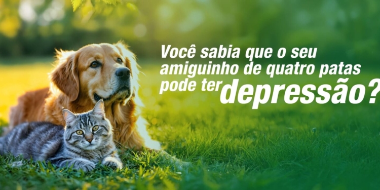 Janeiro Branco: saúde mental dos pets também importa