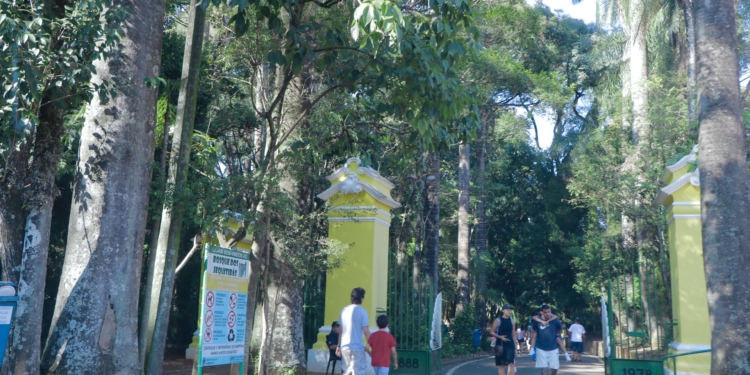 Volume de chuva diminui e prefeitura reabre os cinco parques da região central