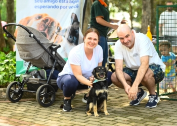 Uma das atrações da 1ª Feira de Adoção de Animais do ano em Campinas, cão Rezende tem novo lar