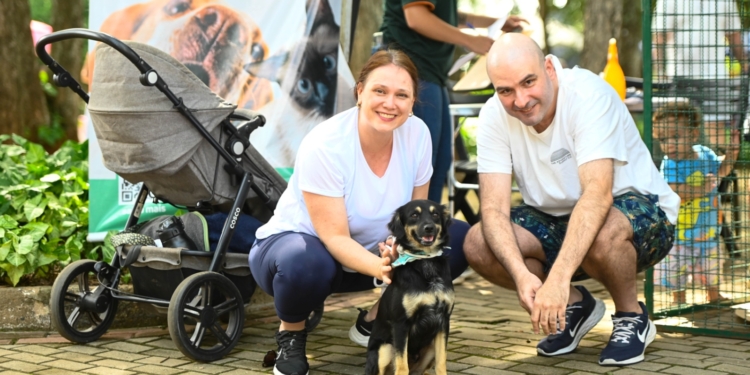 Uma das atrações da 1ª Feira de Adoção de Animais do ano em Campinas, cão Rezende tem novo lar