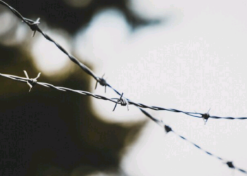 Artigo: O discurso nazista – por Adilson Roberto Gonçalves