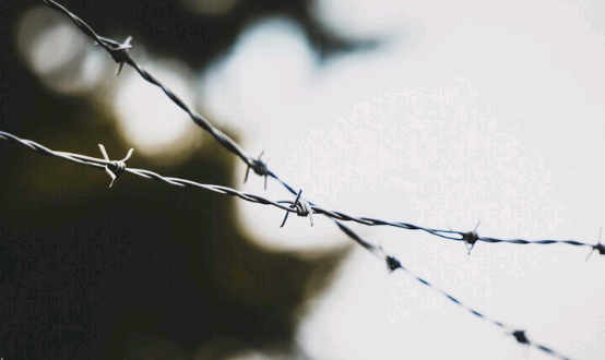 Artigo: O discurso nazista – por Adilson Roberto Gonçalves