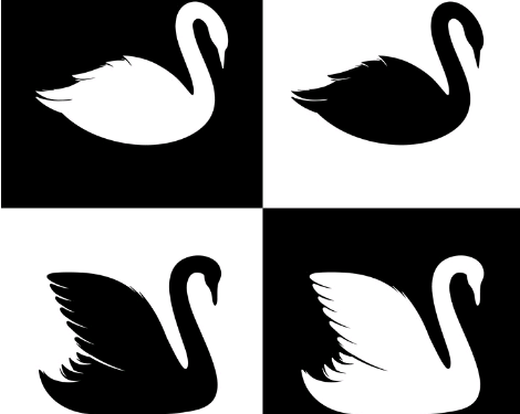 A vida é estranha e muitos cisnes negros irão aparecer – por Luis Norberto Pascoal