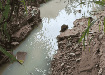 Despejo de produtos químicos em córrego do Rio Quilombo interdita lava-jato em Sumaré