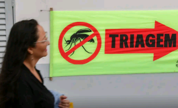 Entenda o que são sorotipos da dengue e por que o tipo 3 preocupa