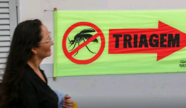 Entenda o que são sorotipos da dengue e por que o tipo 3 preocupa